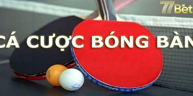 Cá cược bóng bàn online tại SOC88 – Tại sao lại hấp dẫn?